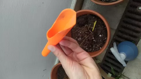 Pocket shovel/scoop for gardening.