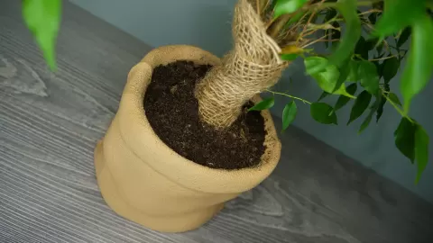 Burlap Sack Planter