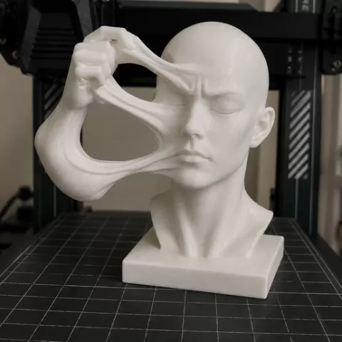 Distorted Mind Surreal Face Sculpture STL