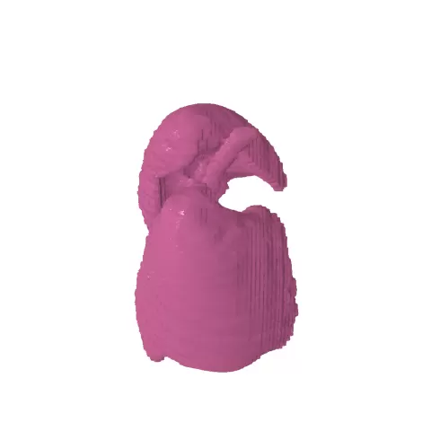 anatomically correct