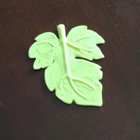 Fig Leaf by cmag