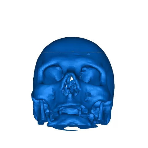 skull emblem - BubbaShady69