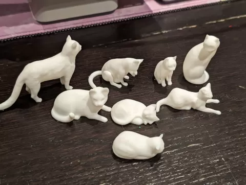Assorted Cats