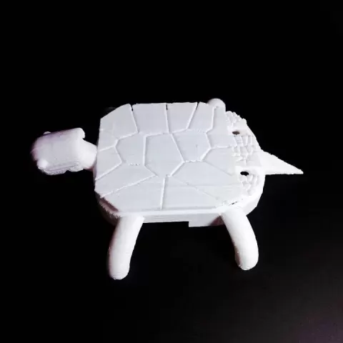 Daniels Turtle by DGPS