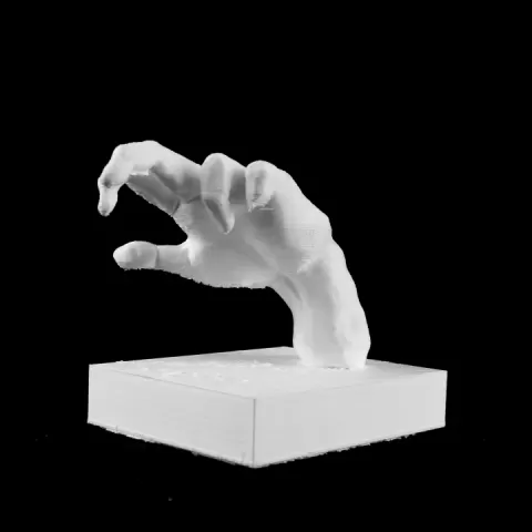 Hand of A Pianist at The Musée Rodin, Paris by Mieszko Lacinski
