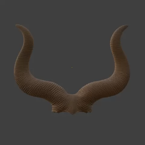 Ox Horns