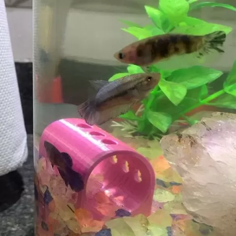 Pipe Ornament for fish tank