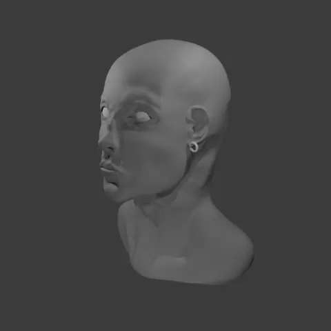 The human head