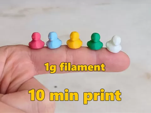 Small Tiny Mini Micro Duck