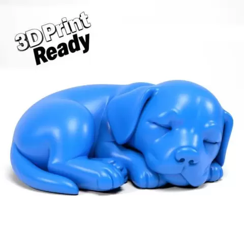 Sleeping dog - 3D Everything