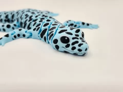 Flexi Leopard Gecko