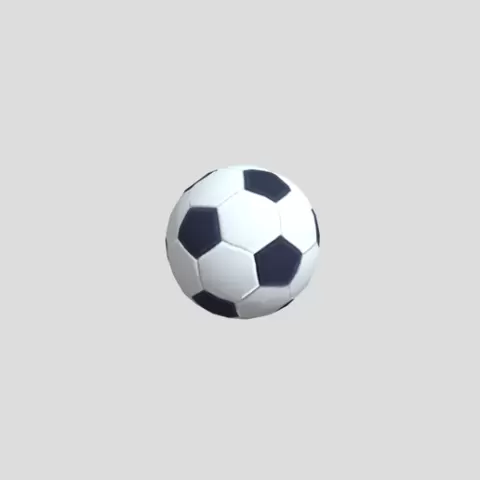 Soccer Ball