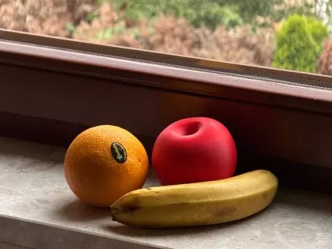 Fruit fly trap – Apple