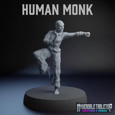 Human Monk by Nyverdale Tabletop