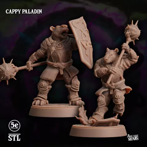 Cappy Paladin by Sordane Publishing