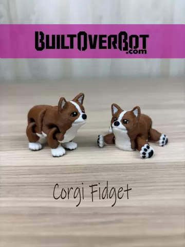 Corgi Fidget