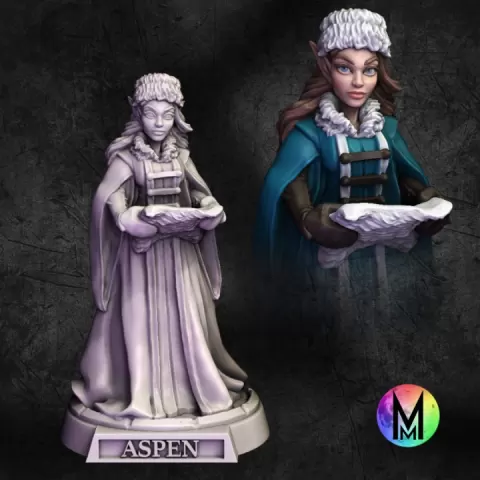 Female Wizard High Elf - Aspen the Elf Wizard Female( Female Wizard with Arctic theme) by Moonlight Minis- Christine Van Patten