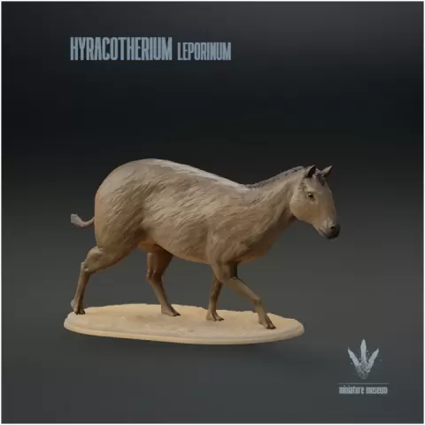 Hyracotherium leporinum : The Hyrax-like Beast by Miniature Museum