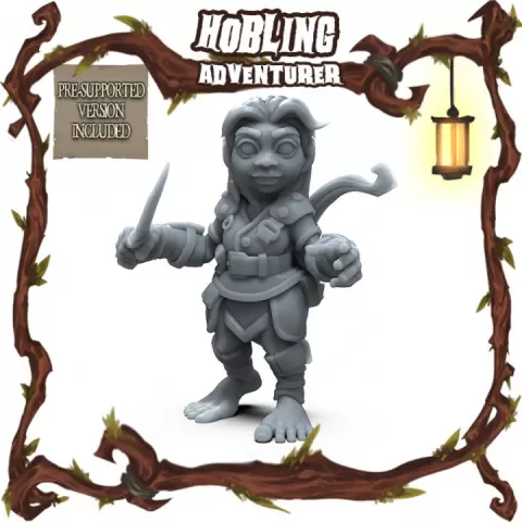 Hobling: Adventurer by RocketPigGames