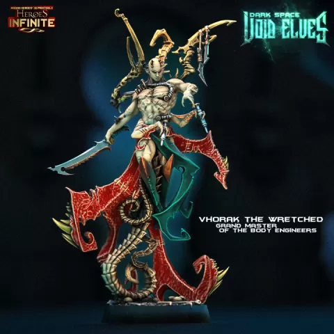 Vhorak the Wretched Grand Master of the Body Engineers by Heroes Infinite