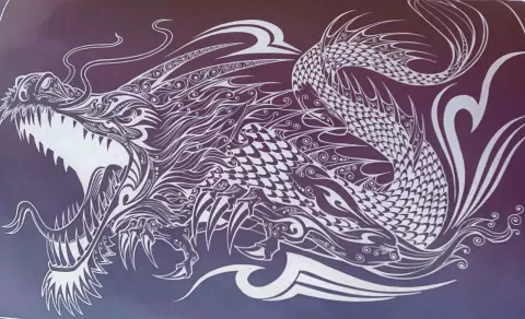 Dragon 3D - Tulee