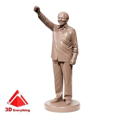 Nelson Mandela by 3D Everything