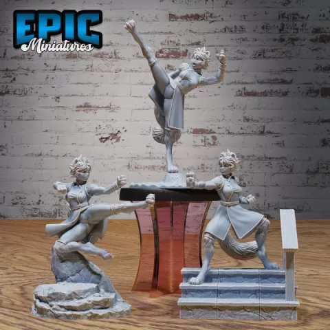 Cat Girl Monk Set / Feline Beast / Catfolk / Preist / Sword Master Animal / Predator Samurai / Shaolin Warrior / Iron Fist Encounter by Epic-Miniatures