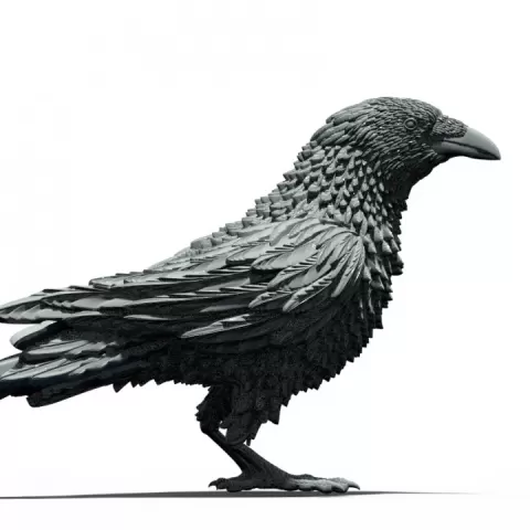 bird by Dmitry Tishchenkov