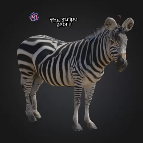 Stripe Zebra