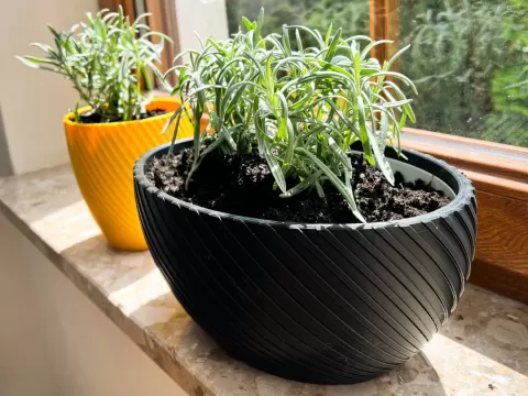 Ribbed planters