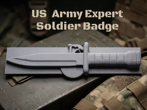 US Army Expert Soldier Badge (ESB) Sign/Plaque