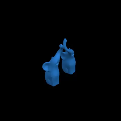 elephants - cscott55