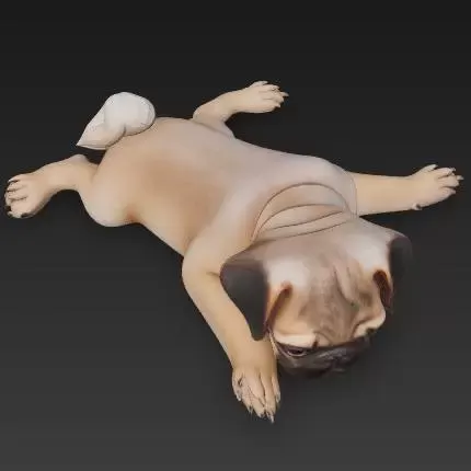 Mops Welpe - Brainbits3D
