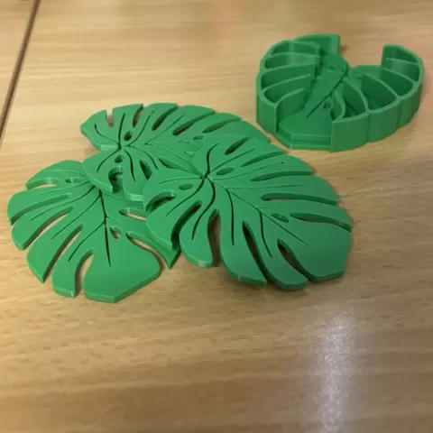 Monstera Leaf Coasters