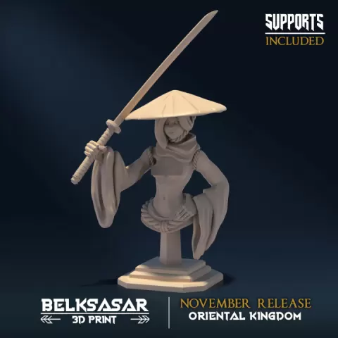 Ronin Bust Variant 2 by Belksasar