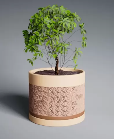 Planter Pot Ramen with Straight Base
