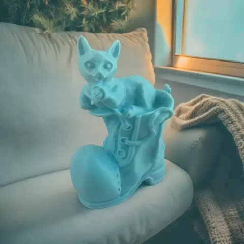 cat on boot new