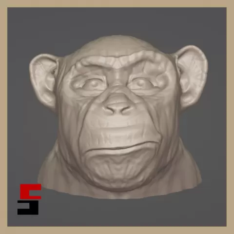 Chimpanzee Bust Head Statue Chimp by sliceables