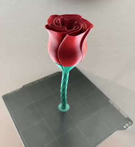 Complete Vase Rose Remix