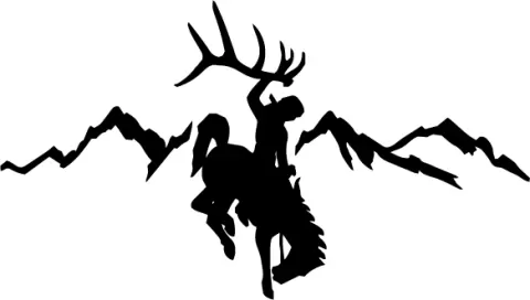 Bronc Stamp