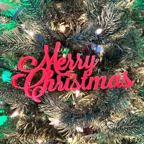 Merry Christmas Script Wall Hang - TrashyPrinting