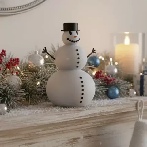 Snowman - ACNS Projects