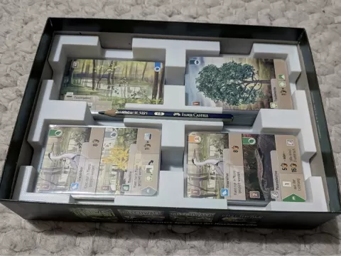Mischwald Inlay