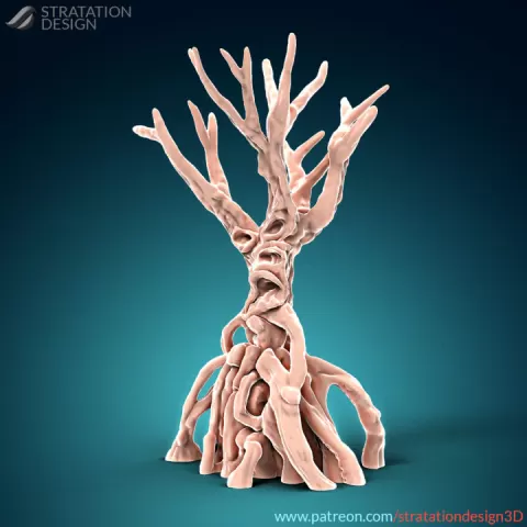 Great Mangrove Tree by Stratation Design