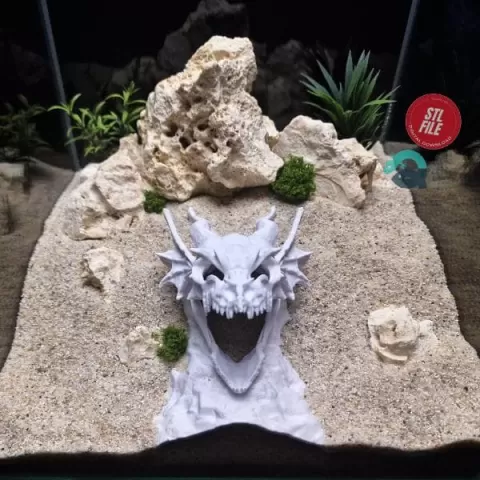 Dragon Skull Aquarium Cave, Fantasy Reptile Hideout, Gothic Aquascape Decor, Vivarium Shelter