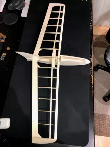 Case for T531BBD servo