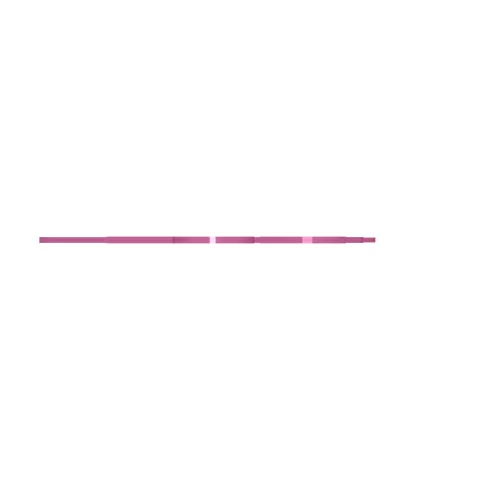 Cat toy