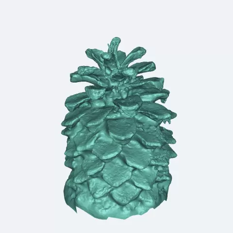 Pinecone - Scott Mawby