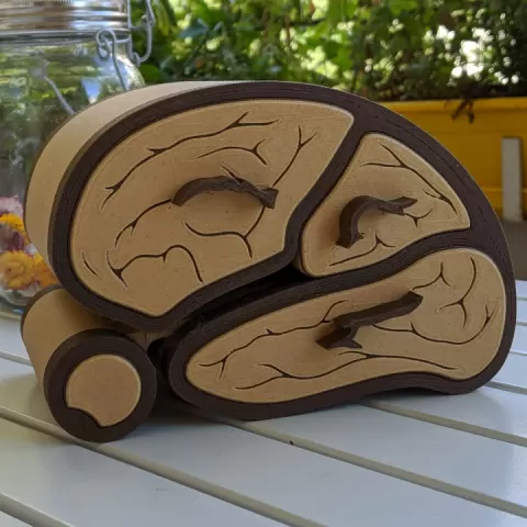 Brain Cabinet by Mean While