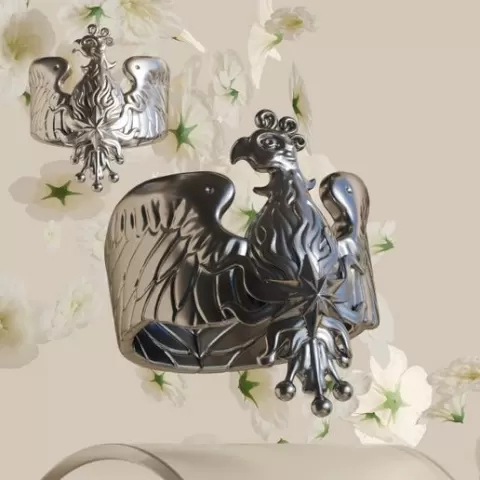 Bird ring